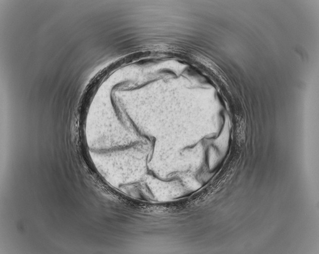 X0000112950971200909211151