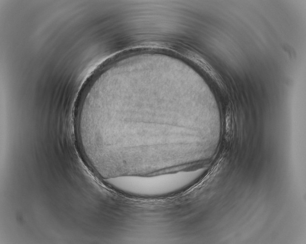 X0000112950972200909211151