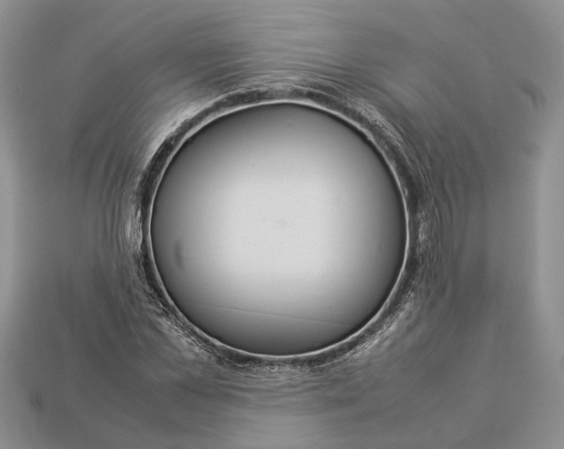 X0000112950973200909211151