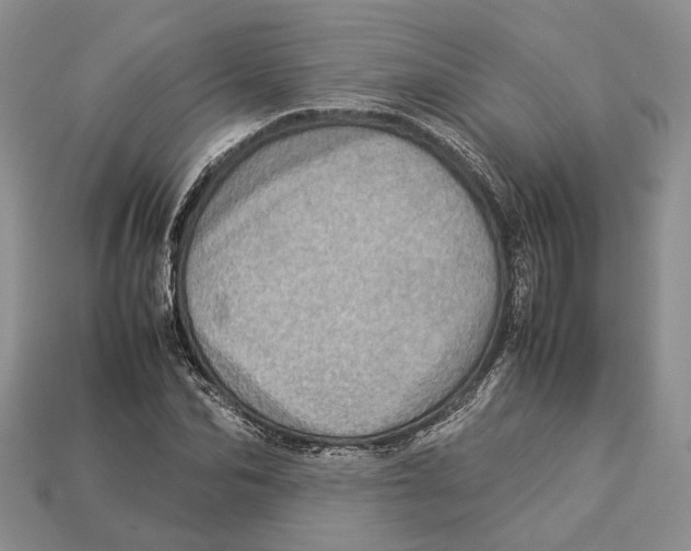 X0000112950974200909211151