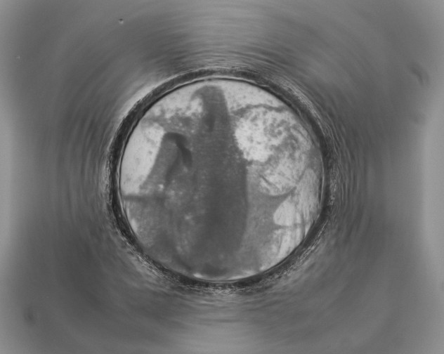 X0000112950975200909211151