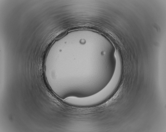 X0000112950977200909211151