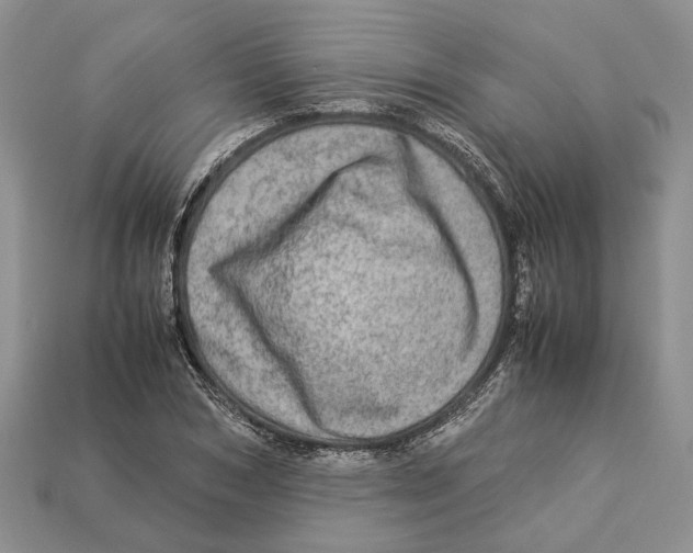 X0000112950978200909211151