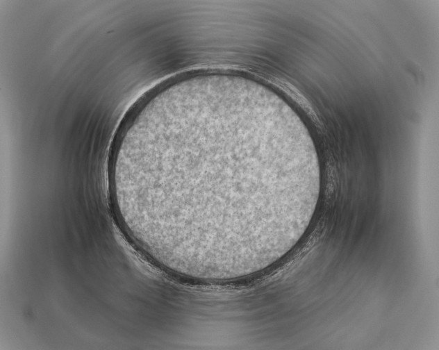 X0000112950980200909211151