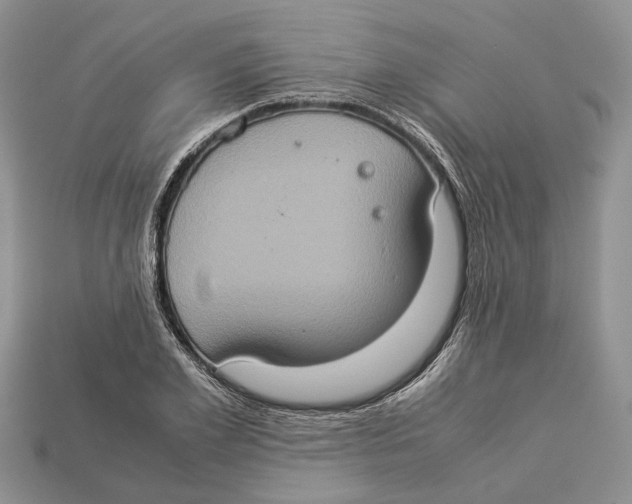 X0000112950981200909211151