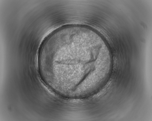 X0000112950982200909211151