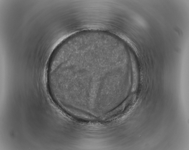 X0000112950983200909211151