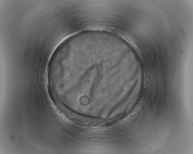 X0000112950984200909211151