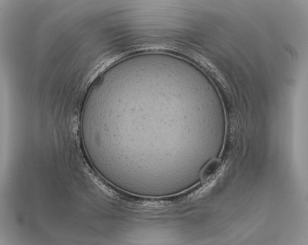 X0000112950985200909211151