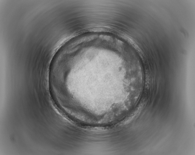 X0000112950986200909211151