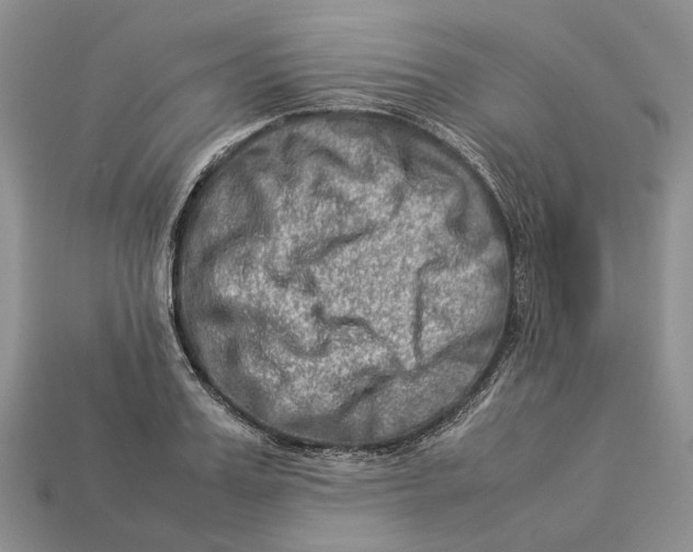 X0000112950987200909211151