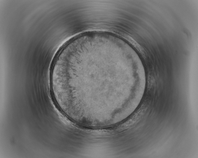 X0000112950988200909211151