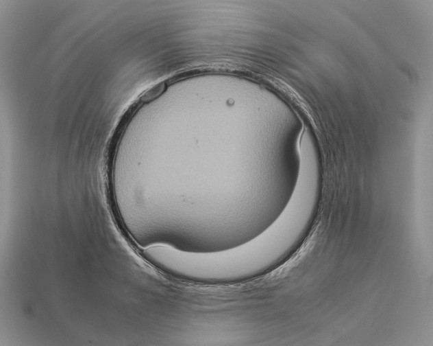 X0000112950989200909211151