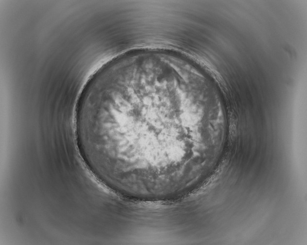 X0000112950990200909211150