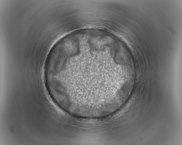 X0000112950991200909211150