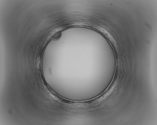 X0000112950993200909211150