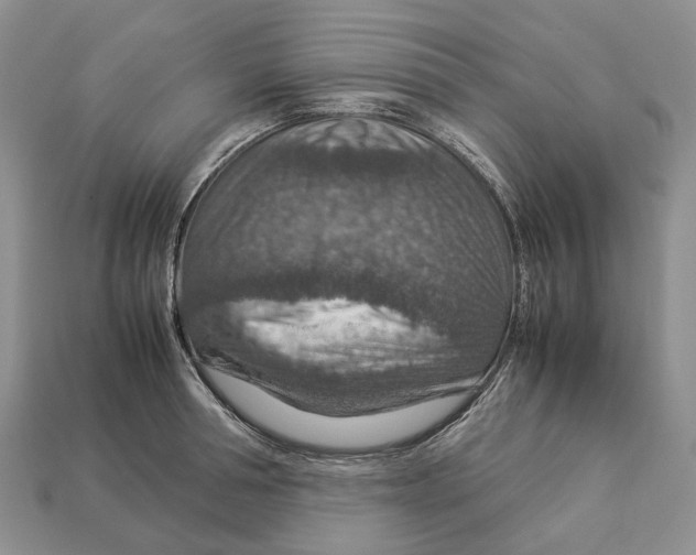 X0000112950994200909211150