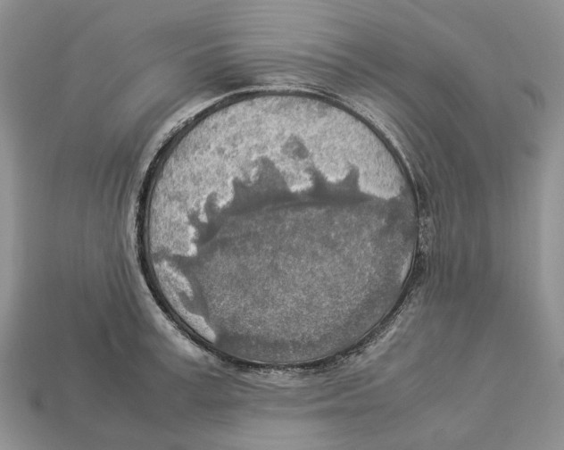 X0000112950995200909211150