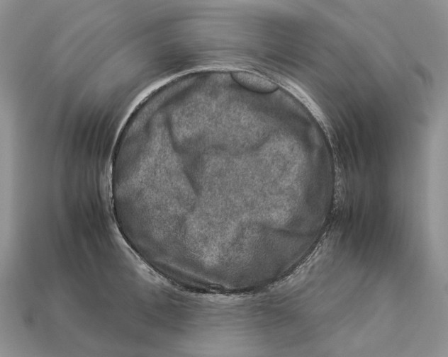 X0000112950996200909211150