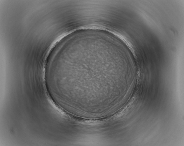 X0000112950998200909211150