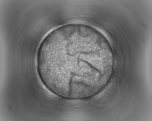 X0000112950999200909211150