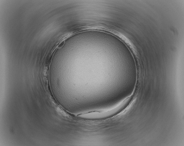 X0000112951001200909211150