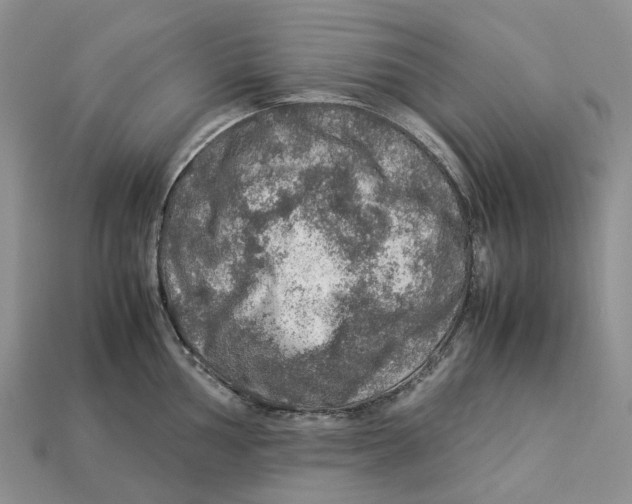 X0000112951002200909211150