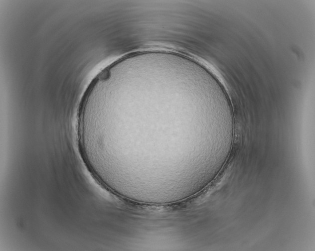 X0000112951003200909211150