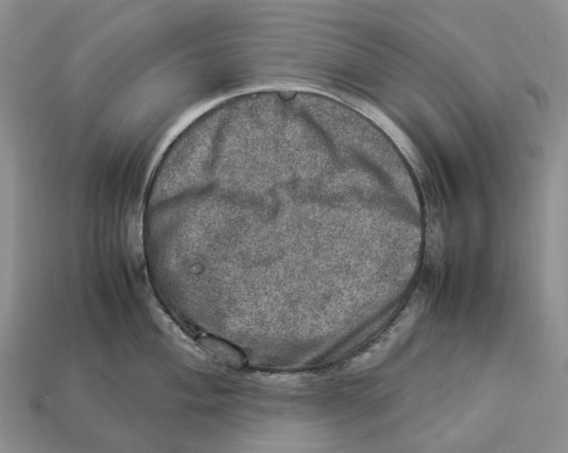 X0000112951004200909211150