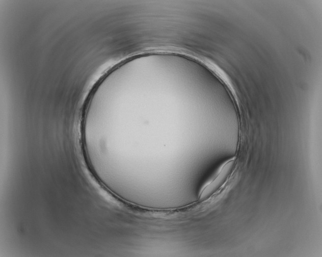 X0000112951005200909211150