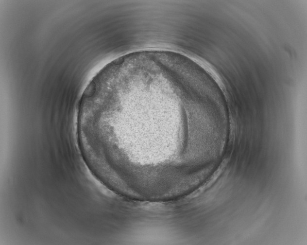 X0000112951006200909211150