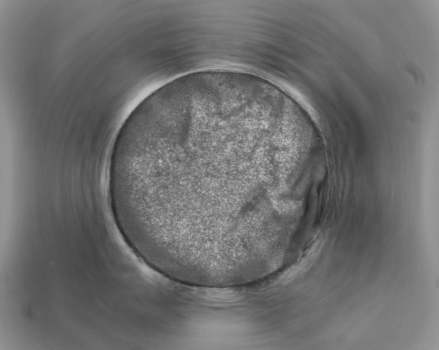 X0000112951007200909211150