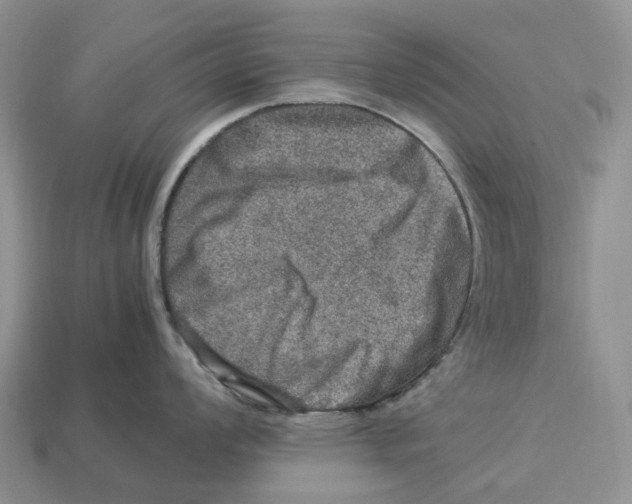 X0000112951008200909211150