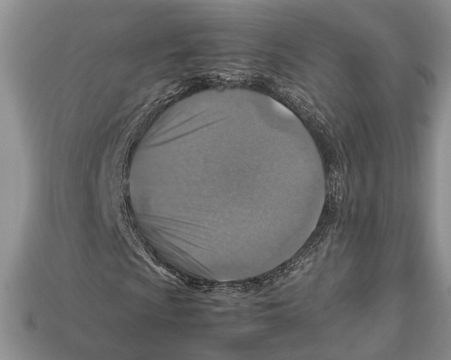 X0000112951009200909211150