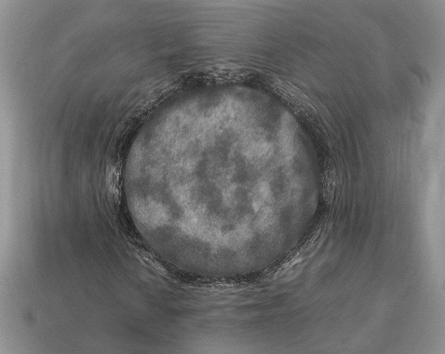 X0000112951010200909211150