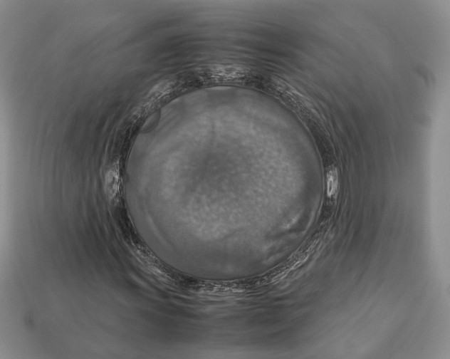 X0000112951011200909211150