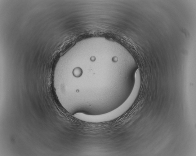 X0000112951012200909211150