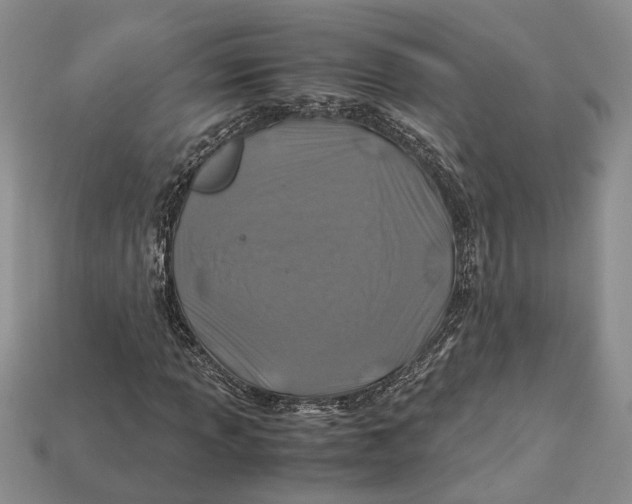 X0000112951013200909211150