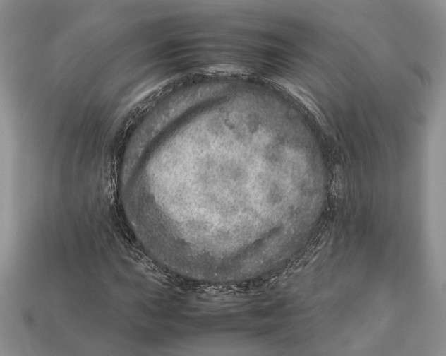 X0000112951015200909211150