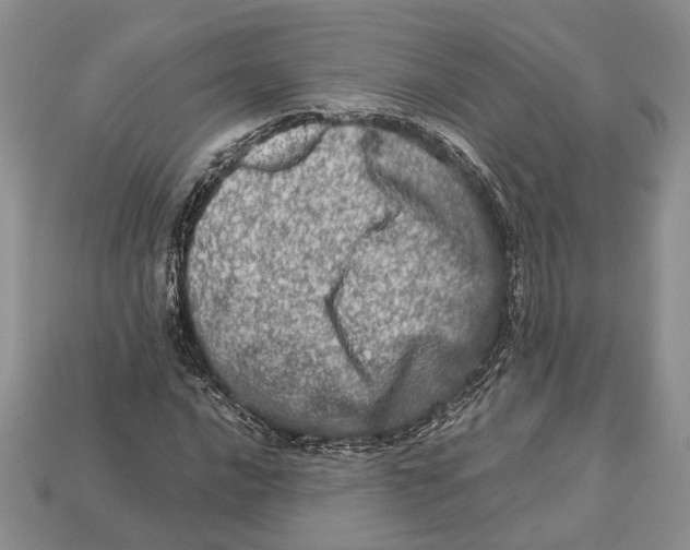 X0000112951016200909211150