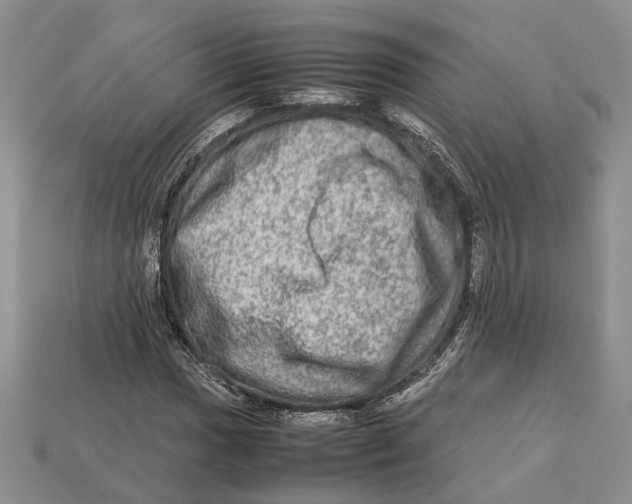 X0000112951017200909211150