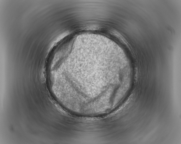 X0000112951018200909211150