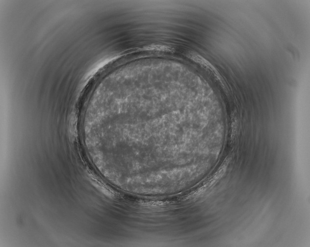 X0000112951019200909211150