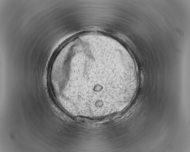 X0000112951020200909211150