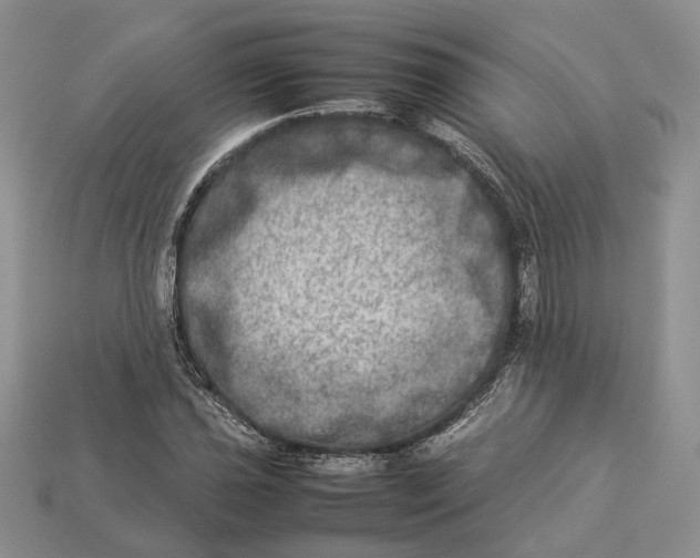 X0000112951021200909211150