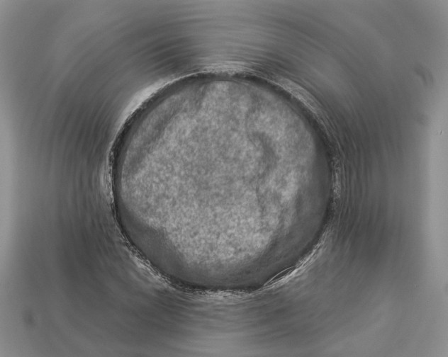 X0000112951022200909211150