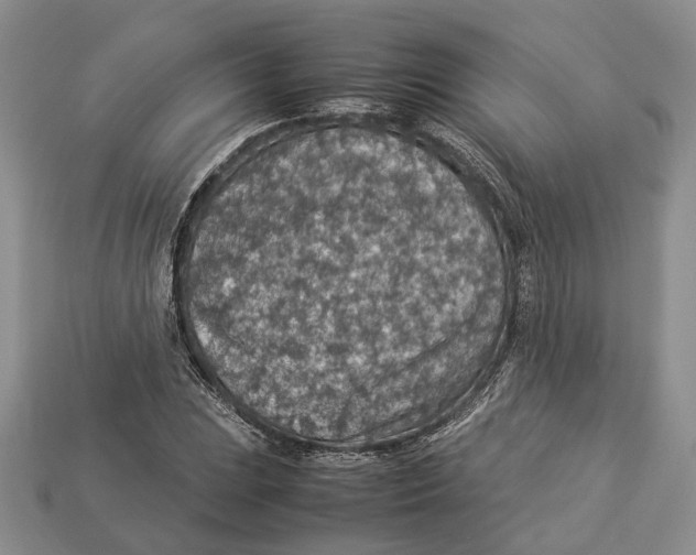 X0000112951023200909211150