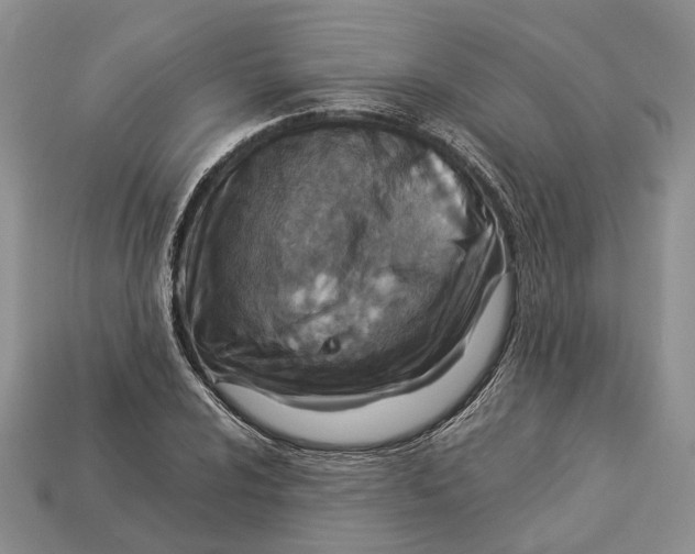 X0000112951024200909211150