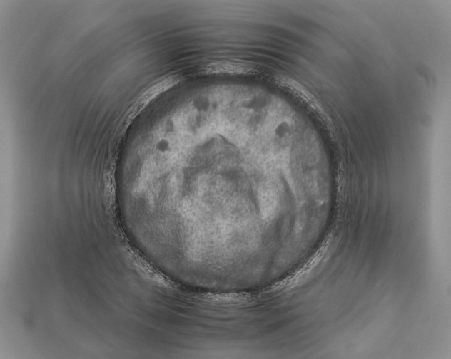 X0000112951025200909211150