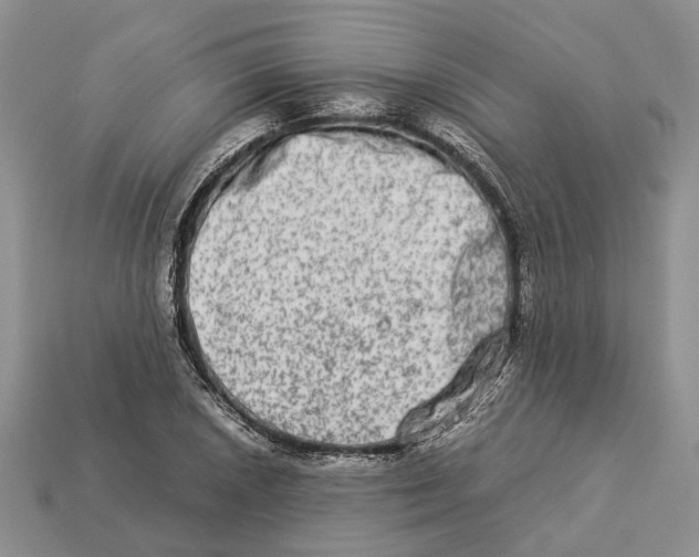 X0000112951026200909211150